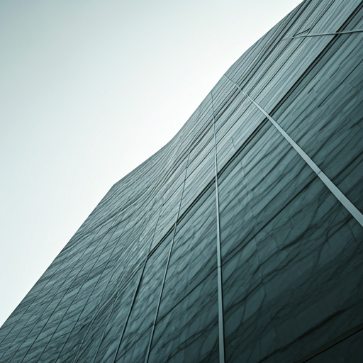 Institutional Context