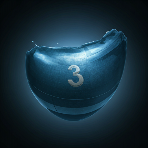 Article 3